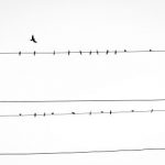 el equilibrio