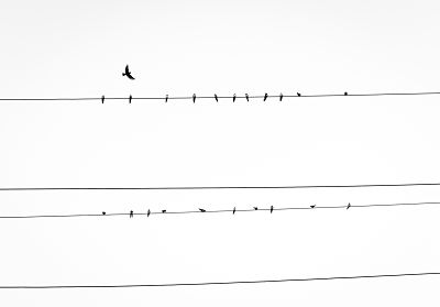 El equilibrio